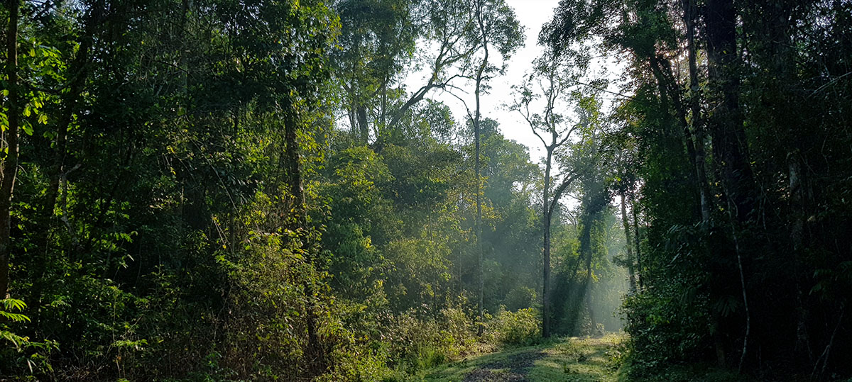 Way Kambas National Park, Sumatra